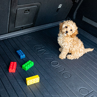 feature-insert-dryzone-03