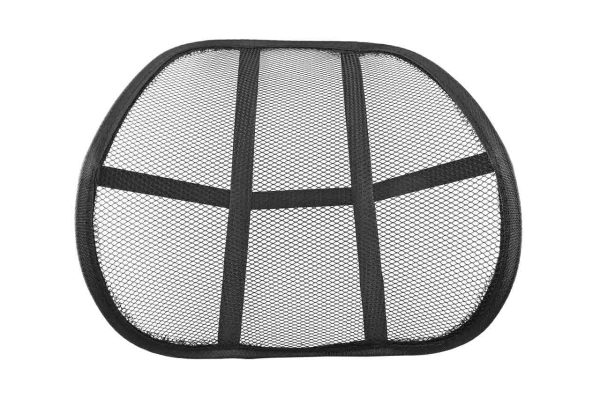 Mesh lumbar back support BS-01