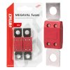 Car MEGAVAL fuses 80A AMIO-03462