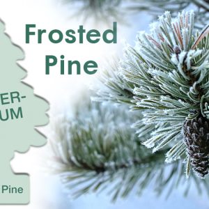 Air Car Freshener Wunder Baum -  Frosted Pine