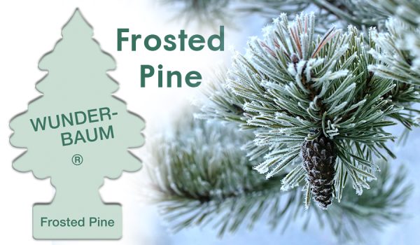 Air Car Freshener Wunder Baum -  Frosted Pine